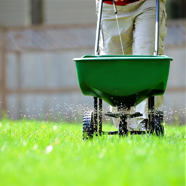 Turf fertilization services Jacksonville Florida turf treatment